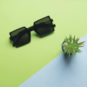 Home Flat lay of stylish sunglasses and a succulent on a colorful surface, promoting modern fashion and eco-friendly decor.